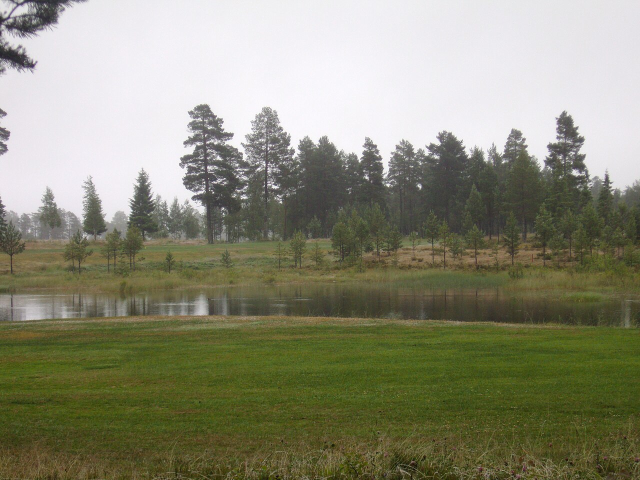 Place photograph from Norrfällsvikens GK.