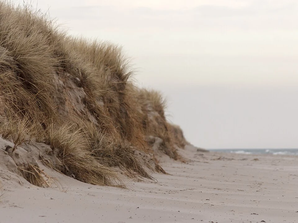 Sandhammaren och Knäbäckshusen